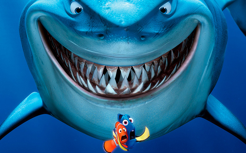 fish