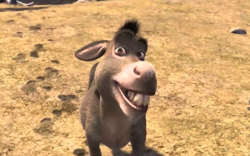 donkey